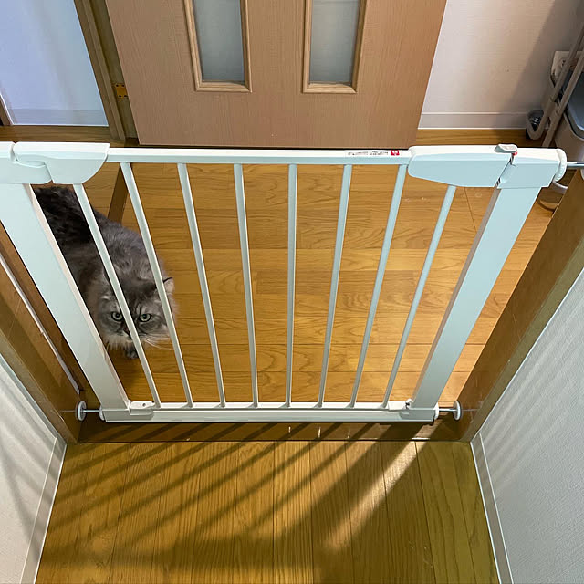 naoさんの実例写真