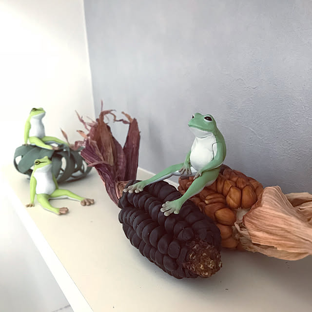 riakanaさんの実例写真