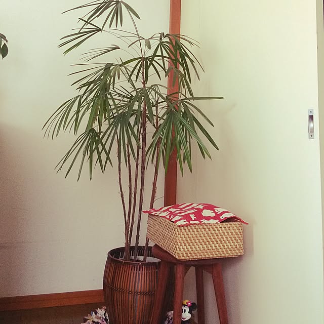 tomonon0812さんの実例写真