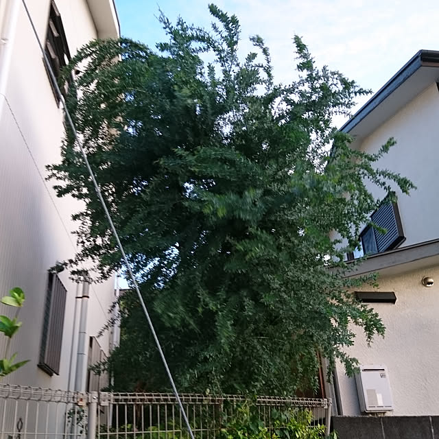 kohmarlさんの実例写真