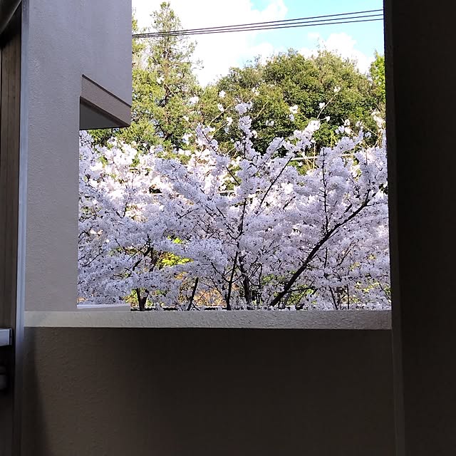 yuuu7712さんの部屋