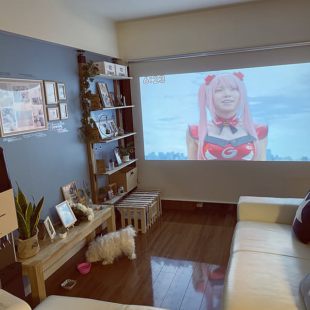 sszzwwさんの実例写真