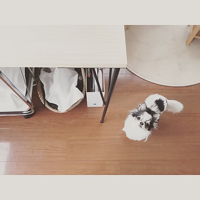 Harukaさんの実例写真