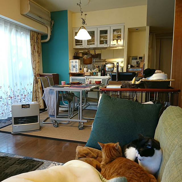 okyosan101さんの実例写真