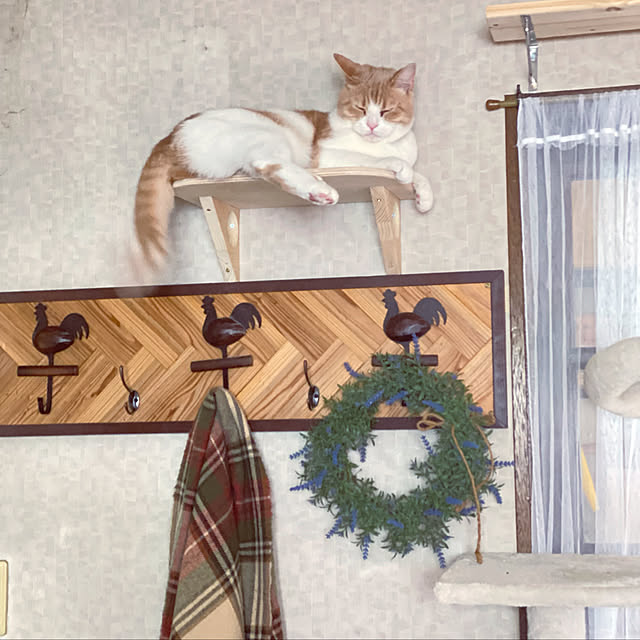 mintteaさんの実例写真