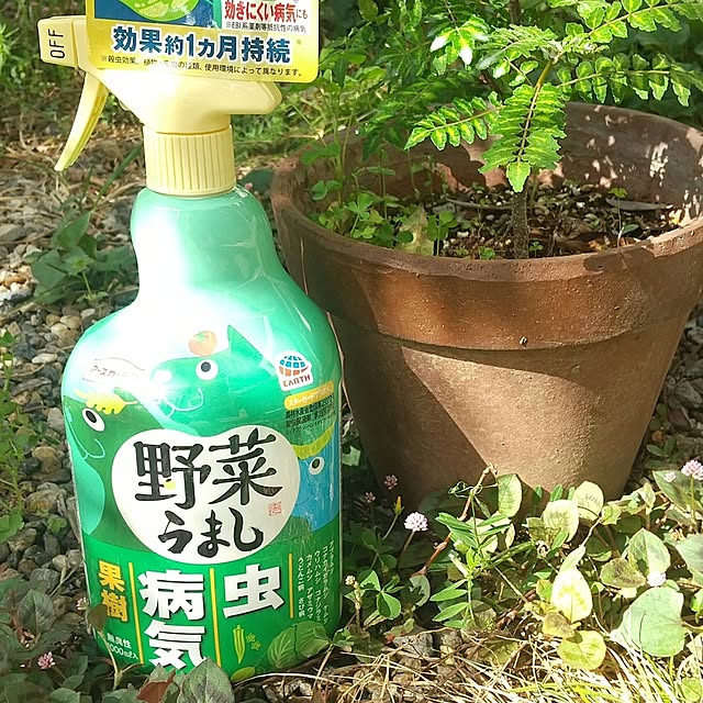 Rさんの実例写真