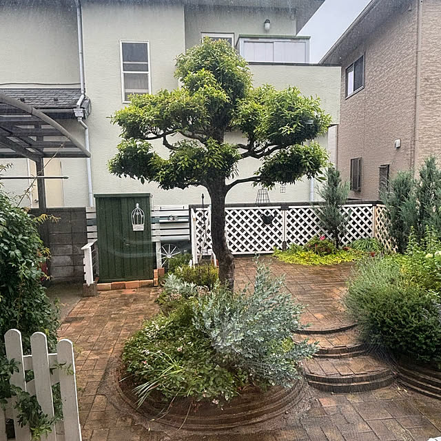 momocchiさんの部屋