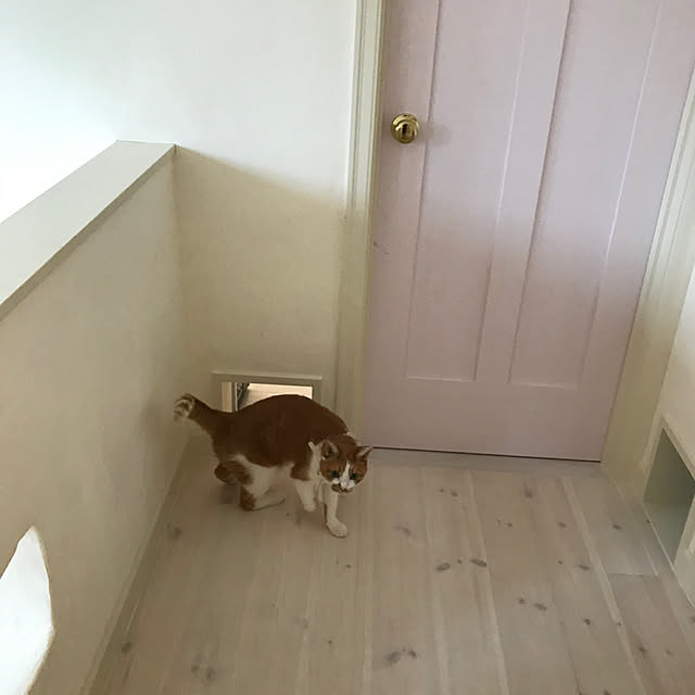 sakuraさんの部屋