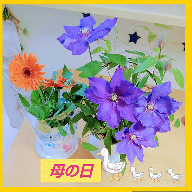 Miyumamaさんの実例写真