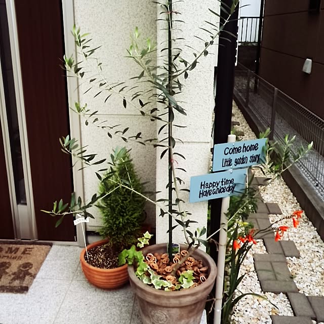 mintさんの実例写真
