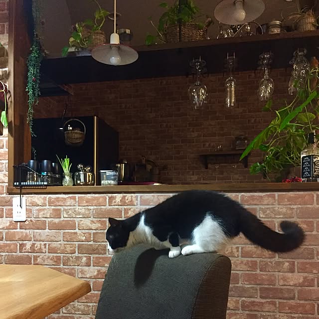 butachanさんの実例写真