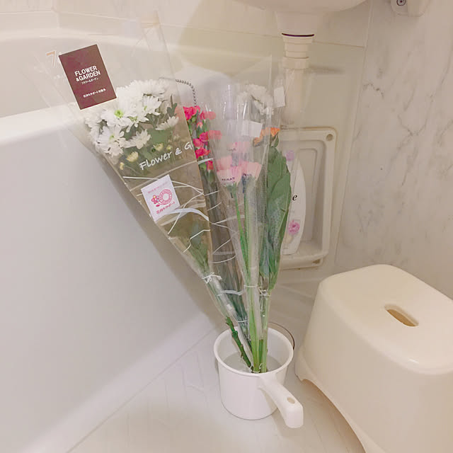 RanRanさんの実例写真