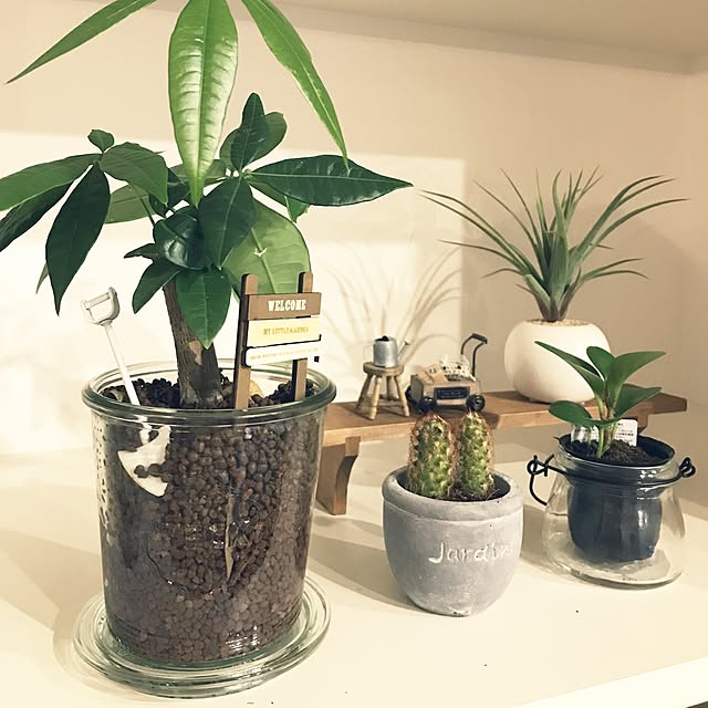 n.houseさんの実例写真