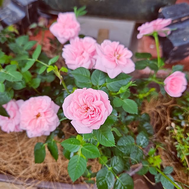 mocomocoさんの部屋