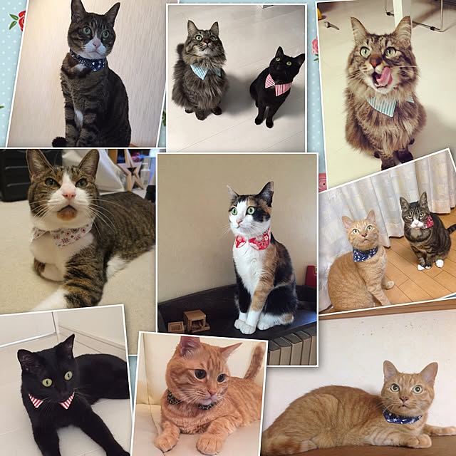 実例写真