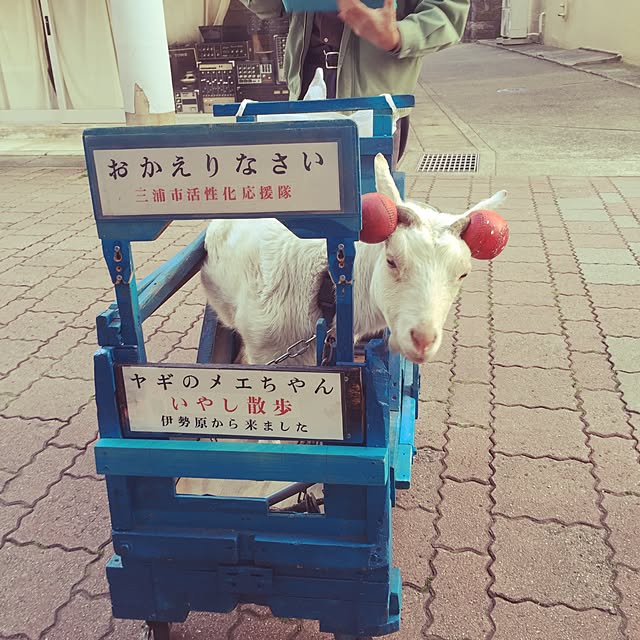 sa-yaさんの実例写真