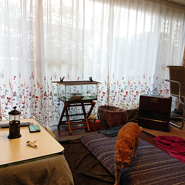 okyosan101さんの実例写真