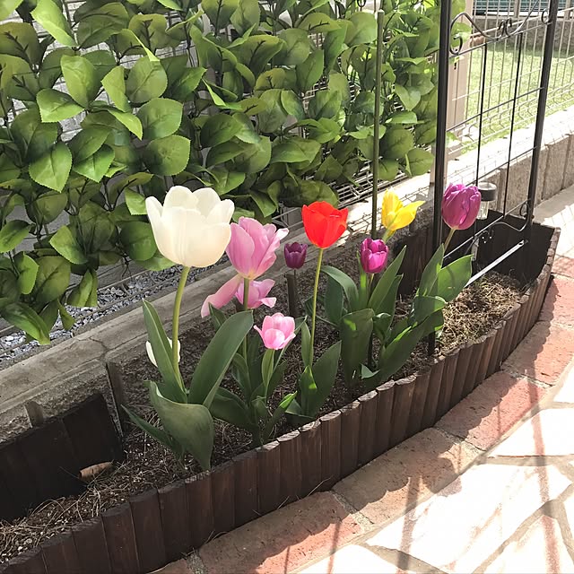 mi-koさんの実例写真