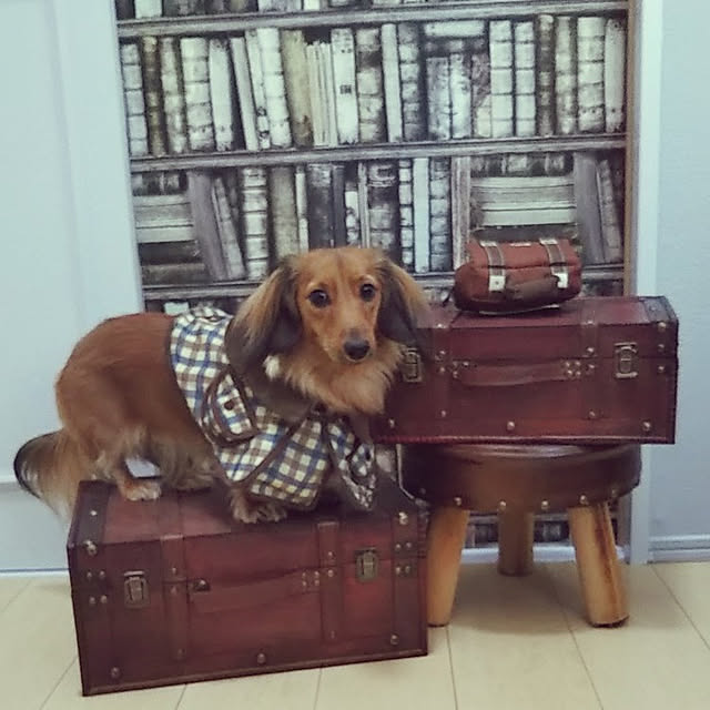H.Sさんの実例写真