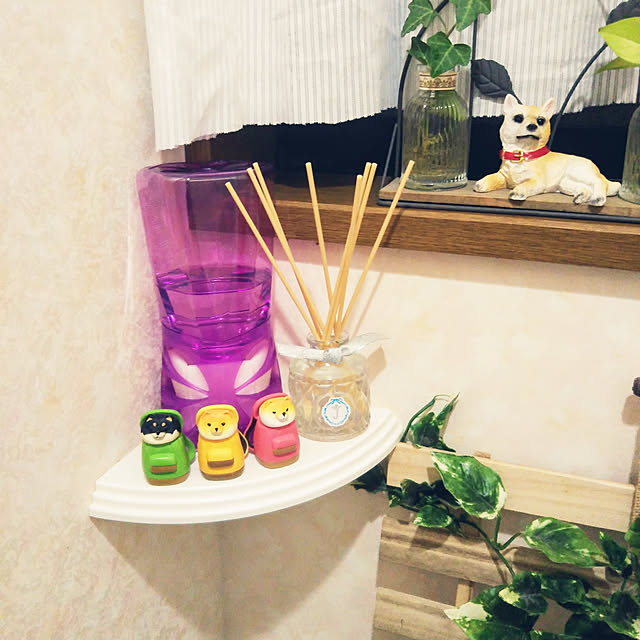 Tirorinさんの実例写真