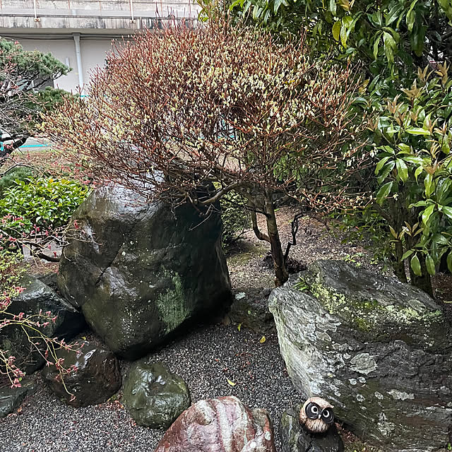 shin0719さんの実例写真