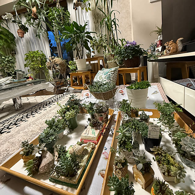 Aqettyさんの部屋