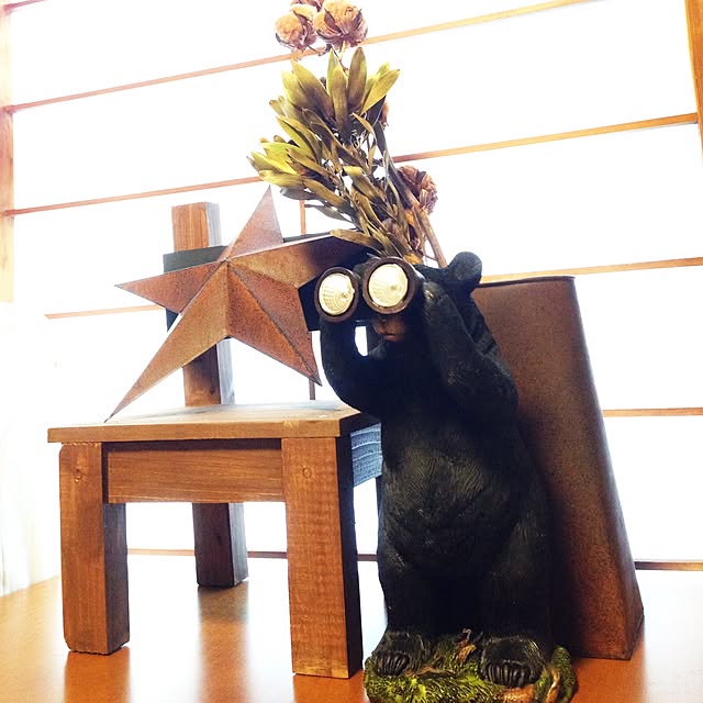 onokenkoさんの実例写真