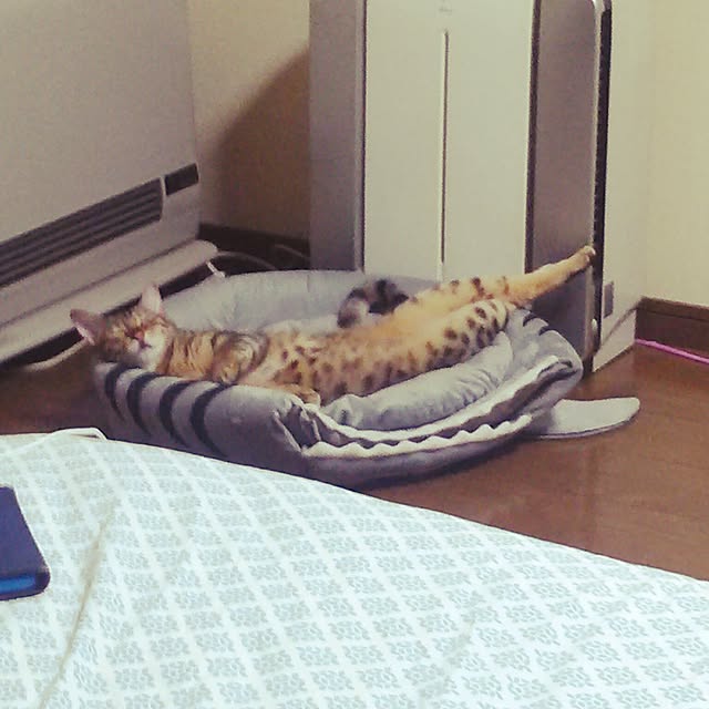 fuku-fuku-fuさんの実例写真