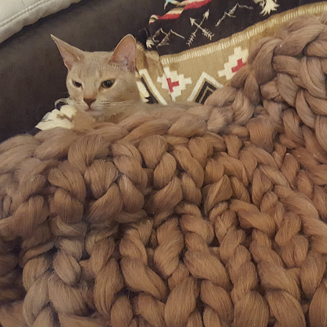 megu.catさんの実例写真