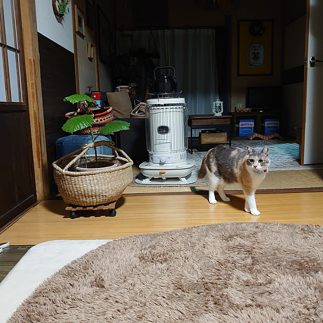 fukuさんの実例写真