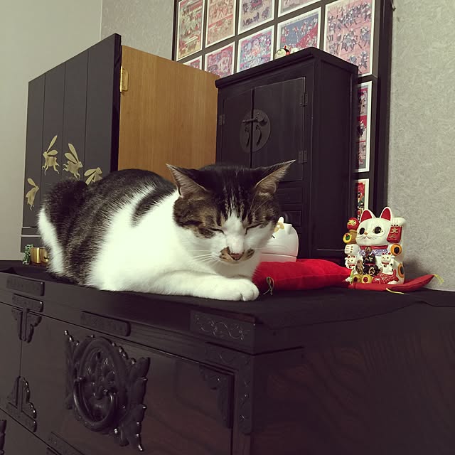 yuchiさんの実例写真