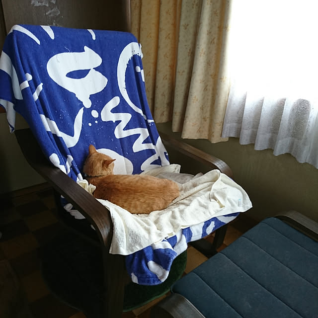 keiさんの実例写真