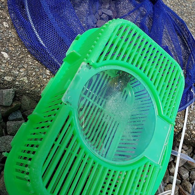 naoさんの実例写真