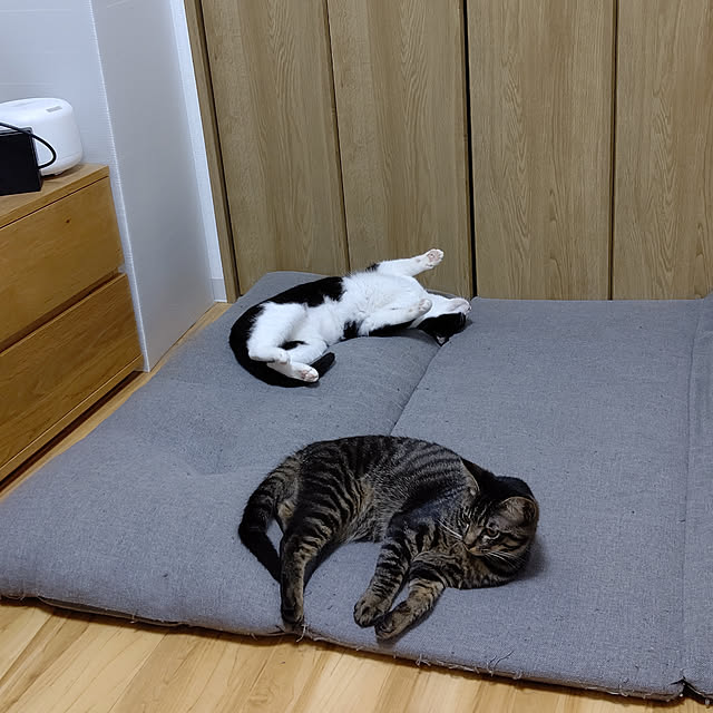 hihaさんの実例写真