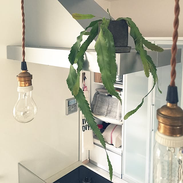marley0209さんの実例写真