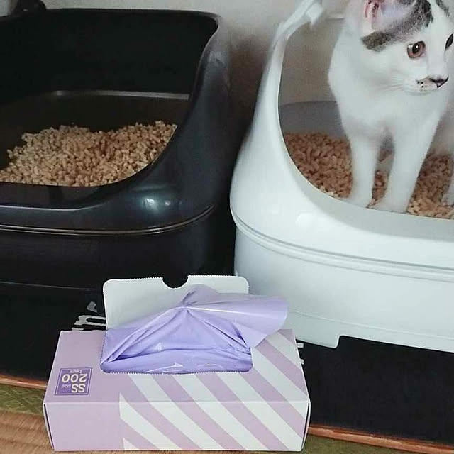 kumiさんの実例写真