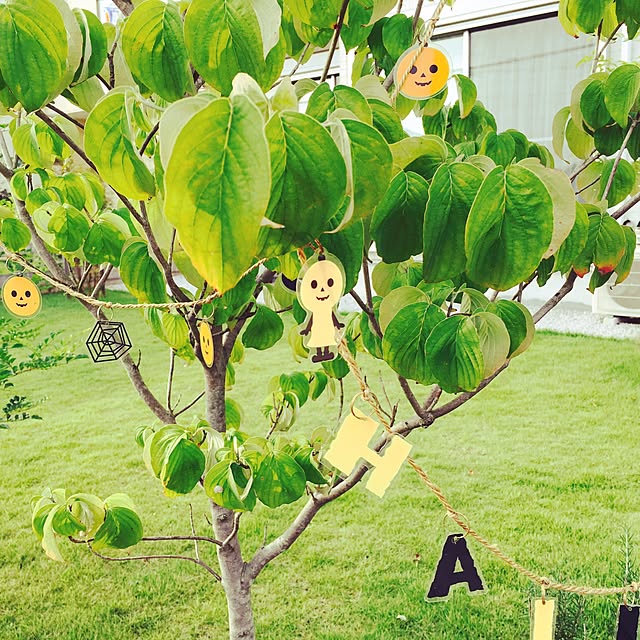 yukaさんの実例写真