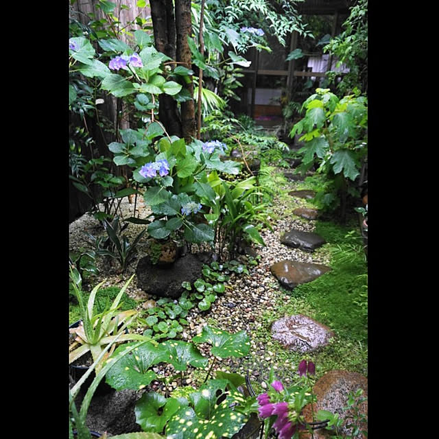 aromameさんの実例写真