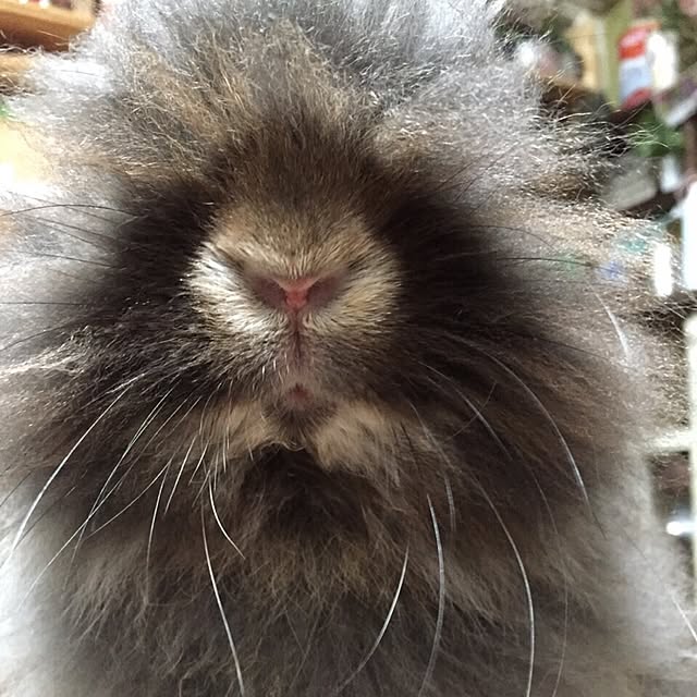 8717さんの実例写真