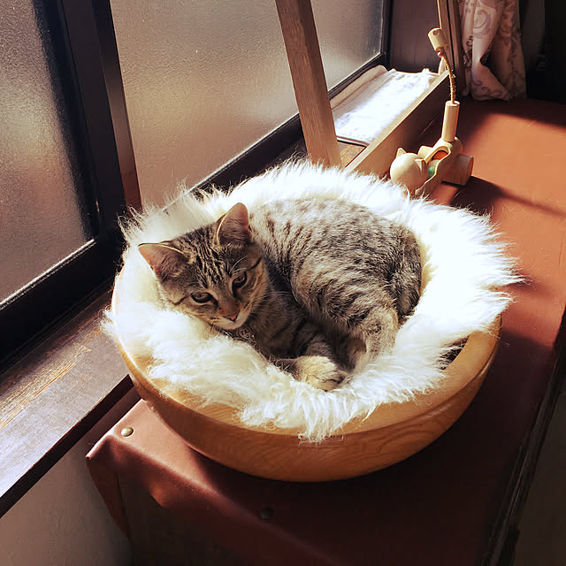 Mさんの実例写真