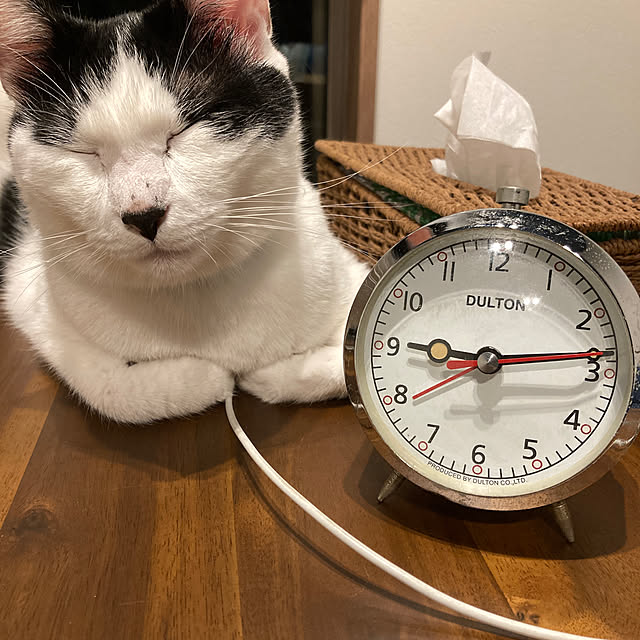 mickiさんの実例写真