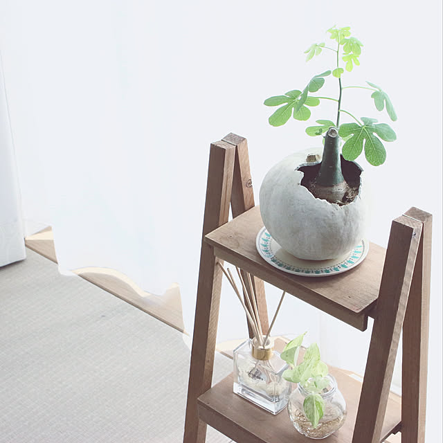 umeboshiさんの実例写真