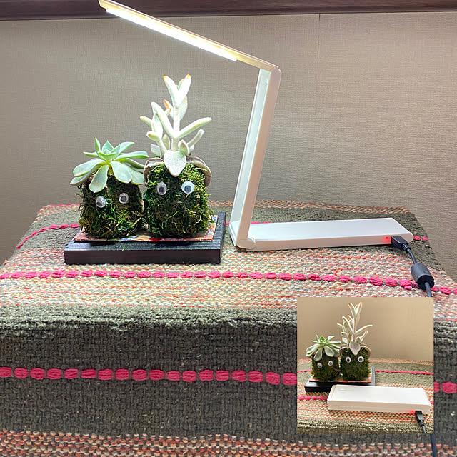 miporinさんの実例写真
