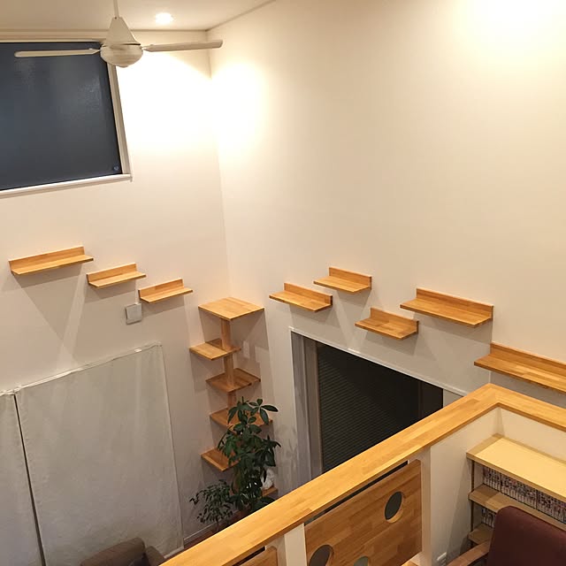 samisoさんの実例写真