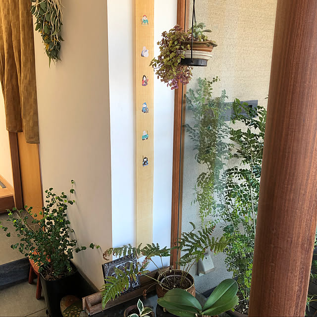 観葉植物/玄関/入り口のインテリア実例 - 2020-02-25 22:39:25