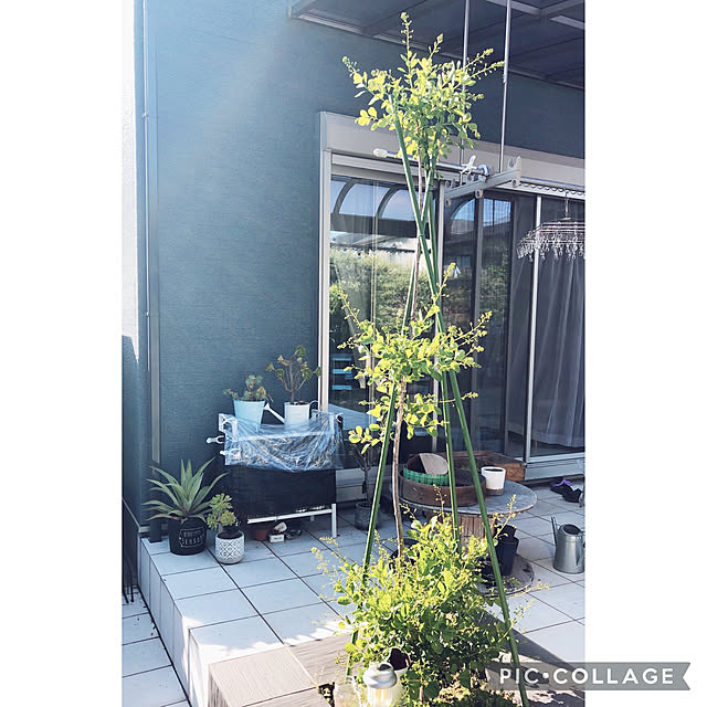craneさんの実例写真