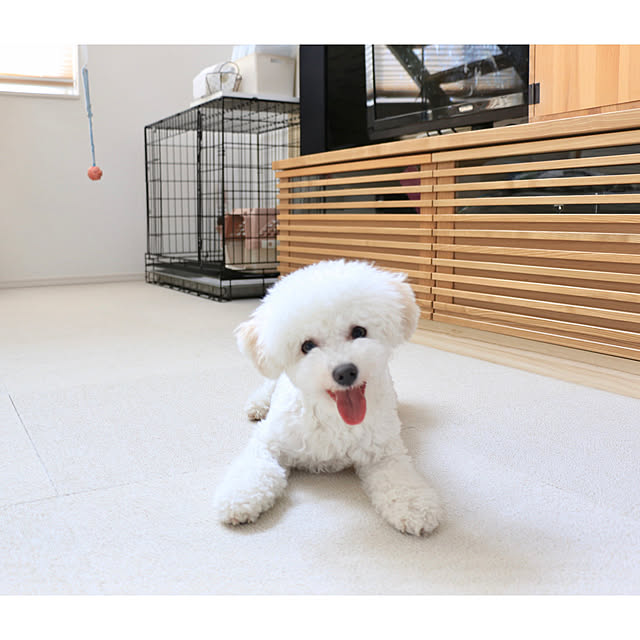 hotaboさんの実例写真