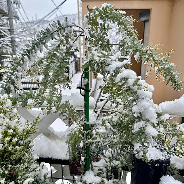 miyuさんの実例写真