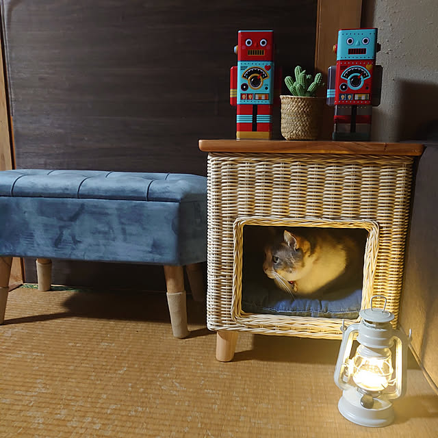 fukuさんの実例写真