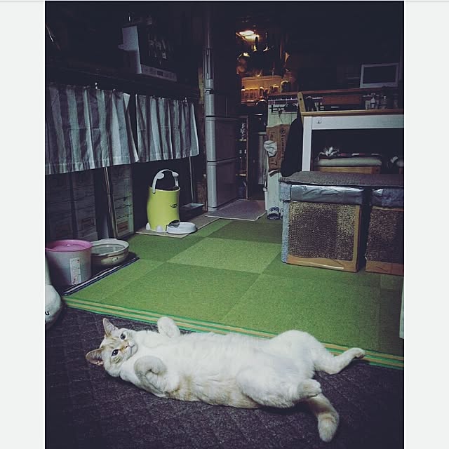 mntcさんの実例写真